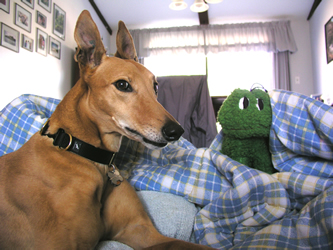 Image of Carrie with her stuffed frog