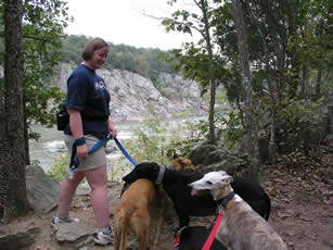 Image of Deanna and hounds along the Potomac