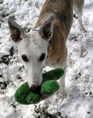 Marcus and one of his favorite toys.