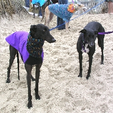 Image of Wren and Tyler watching the waves.