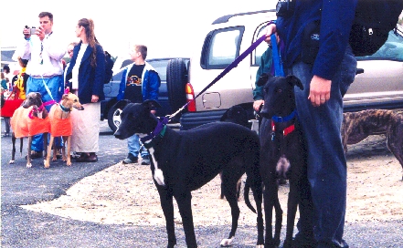 Image of Wren and Tyler at the blessing of the hounds.