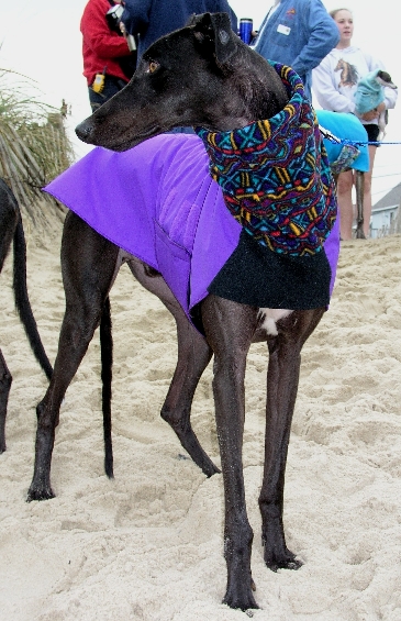 Tyler at Dewey Beach in 2003