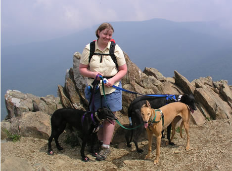 Image of Deanna and hounds at Hawksbill Summit.