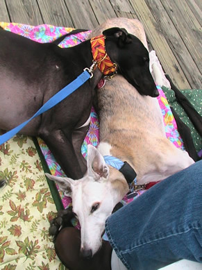 Tyler and Marcus on the boardwalk.