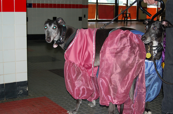 Wren and Symbra getting ready for the fashion show.