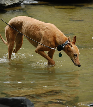 Carrie takes a stroll in the Taughannock River.